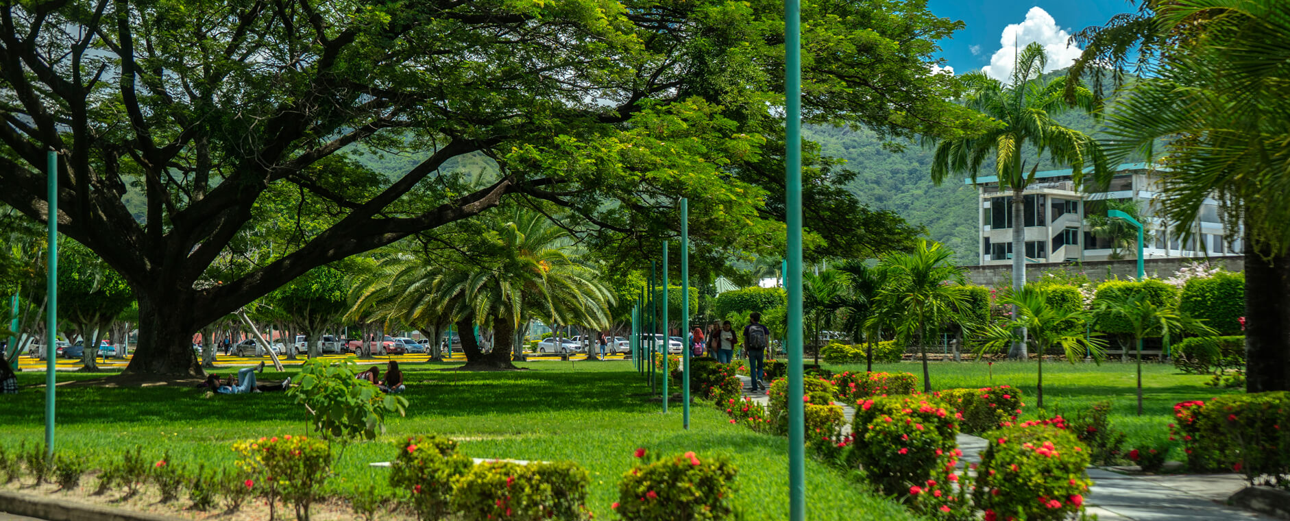 Aprender aquí es Crecer, Avanzar y Disfrutar.