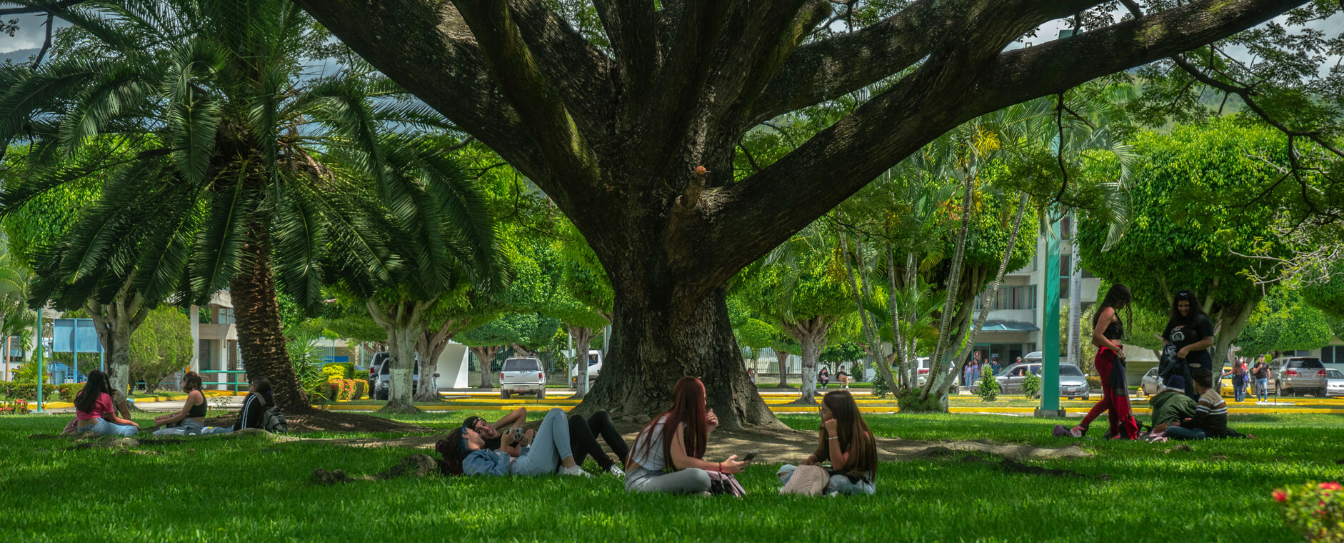 Universidad Bicentenaria de Aragua